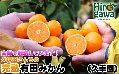 [ 大容量 ] 完熟 有田 みかん サイズ混合 10kg 久幸園 / 温州みかん 有田みかん 甘い 家庭用 和歌山 柑橘 ※11月〜順次発送予定 [hsk004-r-10A]