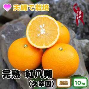 久幸園 完熟紅八朔 10kg ※2025年3月中旬〜順次発送予定 ※着日指定不可[hsk022-beni-10]