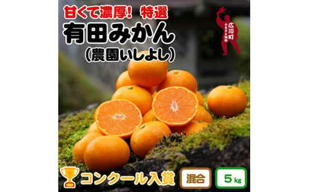 ▼特選有田みかん [創業120年農家直送] 5kg サイズ混合 ※2024年11月より順次発送予定 [isy004-r-5]