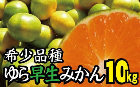 RǑ ݂ ƒp 10kg / 瑁 B݂ ɑ Â ƒp a̎R k 10{`10{ kCEEւ̔zs ynuk003-yura-10Cz