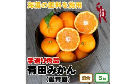 ▼海藻施用有田みかん 手選果 5kg ※2024年11月下旬〜2025年1月中旬頃に順次発送予定 [aii004-r-5]