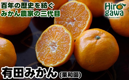 和歌山県産 有田みかん 約3.5kg ※2024年11月上旬〜12月下旬頃に順次発送予定 ※着日指定不可[krw004-r-3d5]