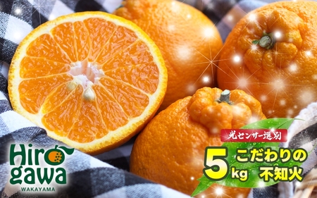 不知火 ( しらぬい ) こだわり 5kg サイズ混合 光センサー / デコポン 高級 厳選 甘い 和歌山 柑橘 ※2月中旬〜4月中旬に順次発送予定 ※北海道・沖縄・離島への配送不可 [nuk010-r-5A]