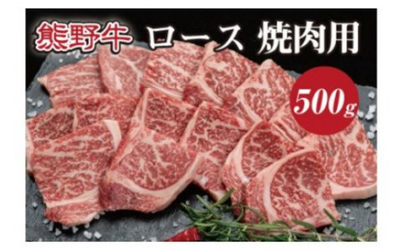 ▼特選黒毛和牛 熊野牛 焼肉用ロース 約500g [mtf310-lo-500B]