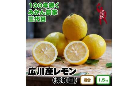 和歌山県有田産 レモン 約1.5kg ※2025年2月上旬頃〜3月中旬頃に順次発送予定 [krw040-r-1d5]