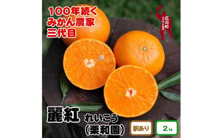 和歌山県有田産[香り高い柑橘]麗紅 約2kg (訳あり) ※2025年2月中旬頃〜3月下旬頃に発送予定[krw012-c-2]