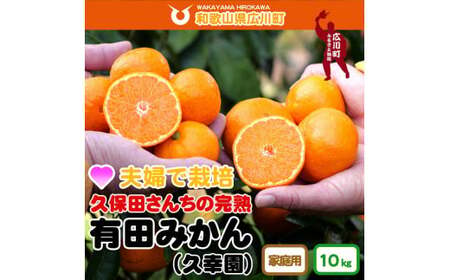 訳あり 家庭用 完熟 有田 みかん 10kg ※2024年11月より順次発送予定 / 和歌山 有田 みかん ミカン フルーツ 秋 旬 柑橘 家庭用 濃厚 甘い 甘味 ジューシー 果汁 おすすめ オススメ 本場 [hsk004-c-10]