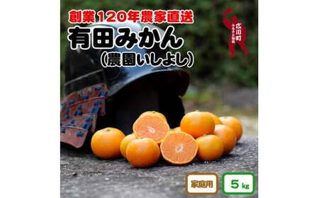 ▼ご家庭用 有田みかん 5kg サイズ混合[創業120年農家直送] ※2024年11月より順次発送予定 [isy004-c-5]