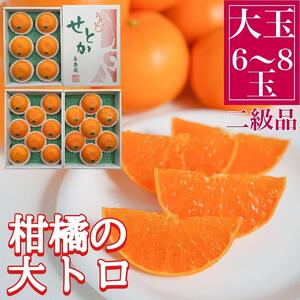   k̑g nEX Ƃ  6 ` 8ʓ ϔ ׉