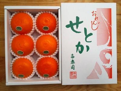 n[t ϔ k̑g nEX Ƃ I 6ʓ ׉