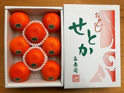 ハーフ 化粧箱 柑橘の大トロ ハウス せとか 厳選 8玉入 南泰園 高級せとか 小玉せとか ハウスせとか 温室せとか 化粧箱入りせとか 甘いせとか せとかオレンジ 有田産せとか 和歌山産せとか