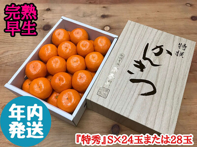 N n Lc݂ Ϗ G S TCY 24ʂ܂28ʓ a̎R ׉ ݂