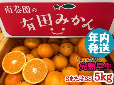 年内発送 ちょっと 傷あり 完熟早生 有田みかん S または SS 5kg 和歌山 南泰園 みかん