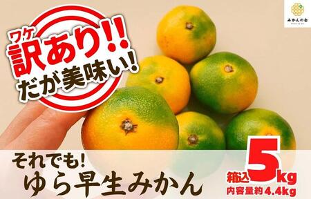 󂠂 瑁 ݂ 5kg(e 4.4kg)TCY~bNX  Lc݂ a̎RY ỷ݂z