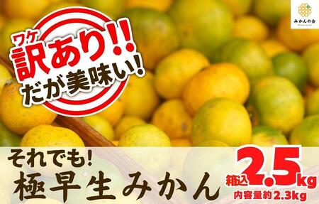 訳あり 極早生 箱込 2.5kg (内容量約 2.3kg) サイズミックス 有田みかん 和歌山県産 [みかんの会]