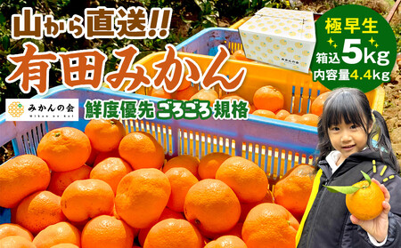 ݂ ɑ R璼  5kg (eʖ 4.4kg) ̂ꂽĂ̂܂܂낲Ki Lc݂ a̎RY ỷ݂z