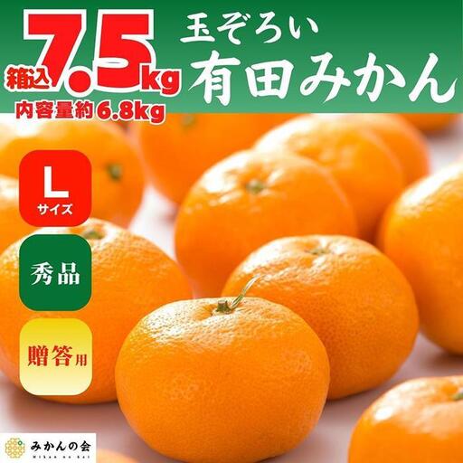 みかん Lサイズ 秀品 箱込 7.5kg (内容量約 6.8kg) 有田みかん 和歌山県産 産地直送 贈答用 ［2026年11月中旬より順次出荷予定］［みかんの会］