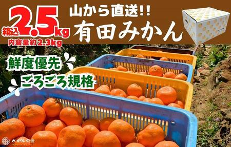 みかん 山から直送 箱込 2.5kg ( 内容量約 2.3kg ) 鮮度優先ごろごろ規格 和歌山県産 産地直送 家庭用[みかんの会]