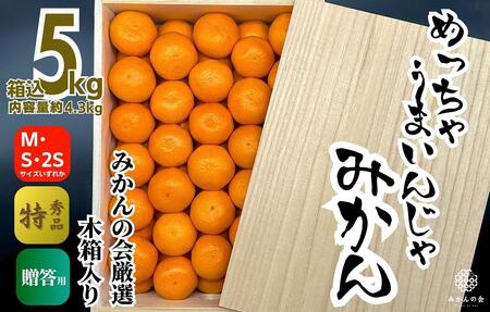 ݂ ߂Ⴄ܂񂶂 ؔ 5kgie4.3kgj ݂̉I Ii M S 2S TCŶꂩ a̎RY Yn Si p m2025N11{2026N1{oח\n