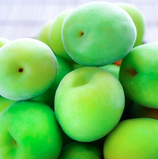 手もぎ 青梅 南高梅 5kg L〜2Lサイズ 谷本農園