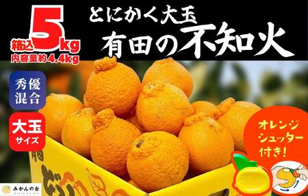 不知火 大玉 どっこいしょ 箱込 5kg (内容量約 4.4kg) 秀優混合 和歌山県産[みかんの会]