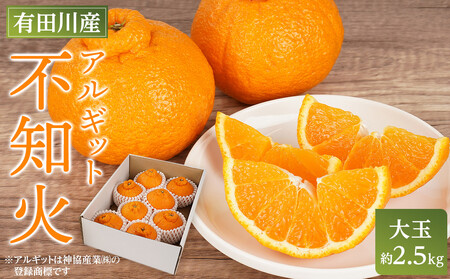 AMbg sm 2.5kg  TCYi8`9ʁj| s\ sm fR ݂ Â  W[V[ n Ԍ ʌ t[c ʕ k lC    Mtg