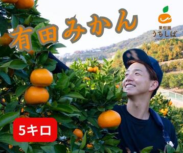 a̎RY ZȊÂ ݂ 5kg _ƒ