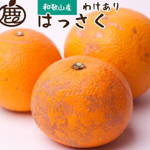 ＜1月より発送＞ 家庭用はっさく3.5kg+105g（傷み補償分） 八朔みかん ハッサク わけあり 訳あり