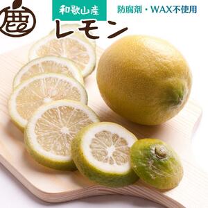 [先行予約]レモン1kg+250g(傷み補償分)[和歌山有田産][防腐剤・WAX不使用、安心の国産レモン]