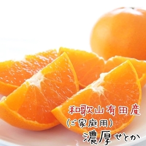 和歌山有田の濃厚せとか(ご家庭用) 約4〜5kg [先行予約] | くだもの フルーツ 果実 果物 有田 みかん 和歌山 [MS81w]