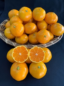 yʌzyԏGIizLc݂2STCY5kg