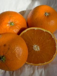 nIW ԏGi 5kgiMELE2L/TCYwsj