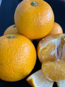 ͂ ԏGi 5kgi3LE2L/TCYwsj