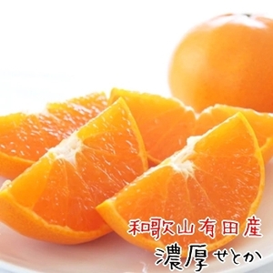 和歌山有田の濃厚せとか 約4〜5kg [先行予約] | くだもの フルーツ 果実 果物 有田 みかん 和歌山 [MS80w]