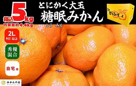 熟成 みかん とにかく 大玉 箱込5kg ( 内容量 4.4kg )2Lサイズ以上 秀品 優品 混合 有田みかん 和歌山産 産地直送 家庭用【みかんの会】