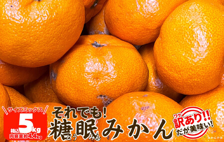 ms\n󂠂 ł n݂ 5kg ( e 4.4kg ) TCY~bNX ai Lc݂ a̎RY Yn ƒp ỷ݂z