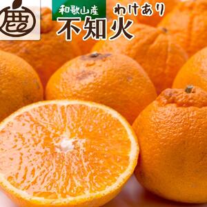 [先行予約]家庭用 不知火1kg+250g(傷み補償分)[デコポンと同品種・人気の春みかん][わけあり・訳あり]