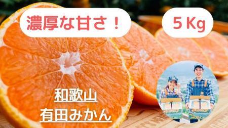 y_ƒzZȊÂ݂̑5kg/yI݂ẑ݂݂_