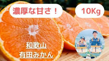 y_ƒzZȊÂ݂̑10kg/yI݂ẑ݂݂_