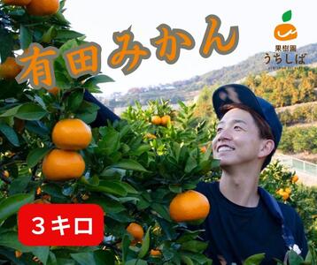 a̎RY ZȊÂ nLc݂ 3kg _ƒ