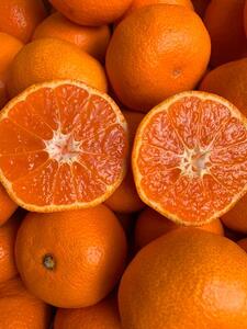 越冬本貯蔵 丹生系みかん(にゅうけい) 約5kg 秀品 2L〜3L [高糖系][マルシ農園]