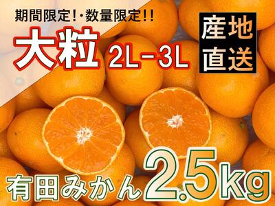 [先行予約]和歌山県産 有田みかん 大粒サイズ 2.5kg