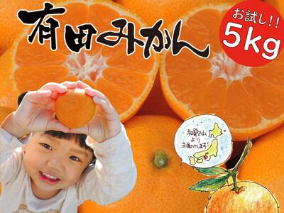 [先行受付2025年11月発送〜]NEW はじめまして 有田みかん お試し 5kg 和歌山県産 / ORYY推奨