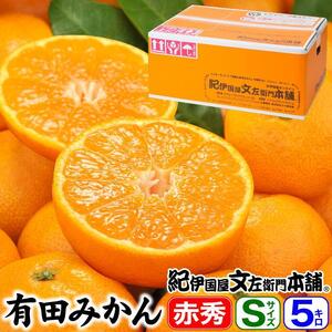 uhLc݂yrTCYzGi 5kg^Yn^ŊÂa̎RY^Iɍq{