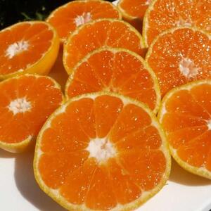 ݂ 7kg ƒp@a̎RLc쒬Y@Lc݂ 肾݂