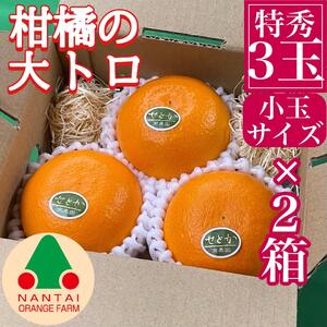 お試し規格 柑橘の大トロ ハウス せとか 厳選 小玉 3玉入 手さげ箱 × 2箱 南泰園 和歌山 有田 高級せとか 小玉 ハウス 温室 化粧箱入り 甘い オレンジ