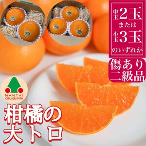 Ki k̑g nEX Ƃ   2 ܂ 3ʓ 肳 ׉ a̎R Lc