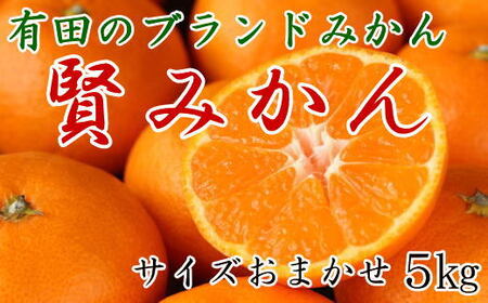 [秀品]有田のブランドみかん「賢みかん」5kg(サイズおまかせ・赤秀品) [2025年11月中旬頃より順次発送]