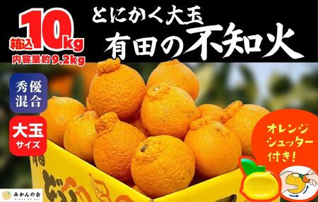 不知火 大玉 どっこいしょ 箱込 10kg (内容量約 9.2kg) 秀優混合 和歌山県産［みかんの会］