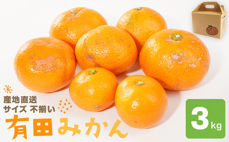 産地直送 有田みかん サイズ 不揃い 約3kg 喜楽farms [2025年11月以降順次発送]